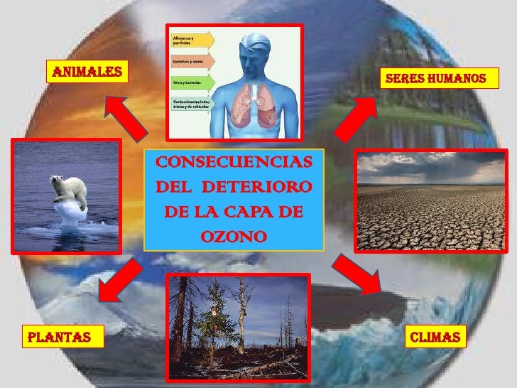 Resultado de imagen para EFECTOS DEL DETERIORO DE LA CAPA DE OZONO
