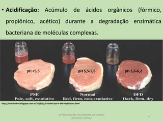 • Acidificação: Acúmulo de ácidos orgânicos (fórmico,
propiônico, acético) durante a degradação enzimática
bacteriana de moléculas complexas.
DETERIORAÇÃO MICROBIANA DE CARNES
(BOVINA E SUÍNA)
10
http://farmanutrid.blogspot.com.br/2015/11/8-carnes-pse-e-dfd-implicacoes.html
pH <5,5 pH 5,5-5,6 pH 5,6-6,2
 