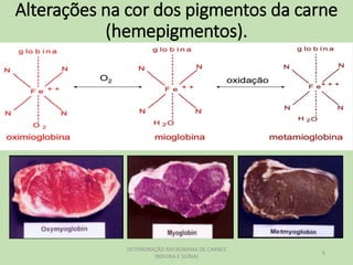 Alterações na cor dos pigmentos da carne
(hemepigmentos).
DETERIORAÇÃO MICROBIANA DE CARNES
(BOVINA E SUÍNA)
5
 