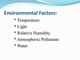 Environmental Factors:
* Temperature
* Light
* Relative Humidity
* Atmospheric Pollutants
* Water
 