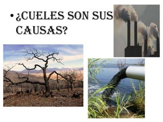 • ¿CUELES SON SUS
CAUSAS?

 