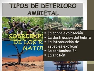 TIPOS DE DETERIORO
AMBIETAL
 La sobre explotación
 La destrucción del habita
 La introducción de
especies exóticas
 La contaminación
 La erosión
 