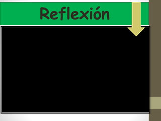 Reflexión
 