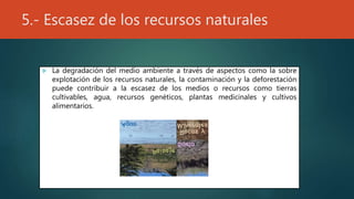 5.- Escasez de los recursos naturales
 La degradación del medio ambiente a través de aspectos como la sobre
explotación de los recursos naturales, la contaminación y la deforestación
puede contribuir a la escasez de los medios o recursos como tierras
cultivables, agua, recursos genéticos, plantas medicinales y cultivos
alimentarios.
 