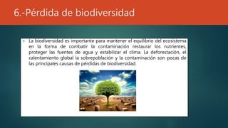 6.-Pérdida de biodiversidad
 La biodiversidad es importante para mantener el equilibrio del ecosistema
en la forma de combatir la contaminación restaurar los nutrientes,
proteger las fuentes de agua y estabilizar el clima. La deforestación, el
calentamiento global la sobrepoblación y la contaminación son pocas de
las principales causas de pérdidas de biodiversidad.
 