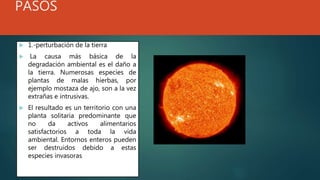 PASOS
 1.-perturbación de la tierra
 La causa más básica de la
degradación ambiental es el daño a
la tierra. Numerosas especies de
plantas de malas hierbas, por
ejemplo mostaza de ajo, son a la vez
extrañas e intrusivas.
 El resultado es un territorio con una
planta solitaria predominante que
no da activos alimentarios
satisfactorios a toda la vida
ambiental. Entornos enteros pueden
ser destruidos debido a estas
especies invasoras
 