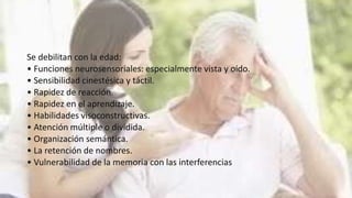 Se debilitan con la edad:
• Funciones neurosensoriales: especialmente vista y oído.
• Sensibilidad cinestésica y táctil.
• Rapidez de reacción.
• Rapidez en el aprendizaje.
• Habilidades visoconstructivas.
• Atención múltiple o dividida.
• Organización semántica.
• La retención de nombres.
• Vulnerabilidad de la memoria con las interferencias
 