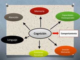 Cognición
Atención
Memoria
Capacidades
Visoespaciales
Lenguaje
Funciones
Ejecutivas
Emoción
Motivación
Comportamiento
 