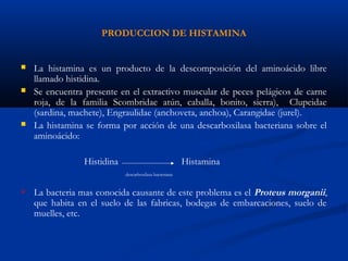 PRODUCCION DE HISTAMINA
 La histamina es un producto de la descomposición del aminoácido libre
llamado histidina.
 Se encuentra presente en el extractivo muscular de peces pelágicos de carne
roja, de la familia Scombridae atún, caballa, bonito, sierra), Clupeidae
(sardina, machete), Engraulidae (anchoveta, anchoa), Carangidae (jurel).
 La histamina se forma por acción de una descarboxilasa bacteriana sobre el
aminoácido:
Histidina Histamina
descarboxilasa bacteriana
 La bacteria mas conocida causante de este problema es el Proteus morganii,
que habita en el suelo de las fabricas, bodegas de embarcaciones, suelo de
muelles, etc.
 