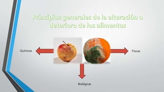Deterioro de los alimentos | PDF