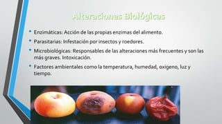 Deterioro de los alimentos | PDF
