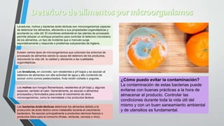 Deterioro de los alimentos | PDF