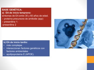 BASE GENÉTICA:
a) EA de inicio temprano:
síntomas de EA entre 30 y 60 años de edad.
– proteína precursora de amiloide (app)
– presenilina 1:
-presenilina 2
b) EA de inicio tardío:
• más complejas
• interaccionan factores genéticos con
factores ambientales
• apolipoproteina E (APOE).
 