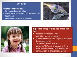 Etiología:
Hipótesis colinérgica:
• La más antigua de ellas
• sugiere que se debe a una reducción en
la síntesis
del neurotransmisor acetilcolina.
Hipótesis de la proteína beta amiloide y
TAU:
• acumulo anómalo de beta-
amiloide y tau en el cerebro.
• la enfermedad se produce por la aparición
de mutaciones en
los genes PSEN1, PSEN2
• gen de la APP en el cromosoma 21. la
enfermedad aparece clásicamente en
personas con el síndrome de Down.
 