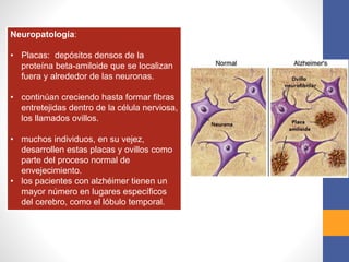 Neuropatología:
• Placas: depósitos densos de la
proteína beta-amiloide que se localizan
fuera y alrededor de las neuronas.
• continúan creciendo hasta formar fibras
entretejidas dentro de la célula nerviosa,
los llamados ovillos.
• muchos individuos, en su vejez,
desarrollen estas placas y ovillos como
parte del proceso normal de
envejecimiento.
• los pacientes con alzhéimer tienen un
mayor número en lugares específicos
del cerebro, como el lóbulo temporal.
 