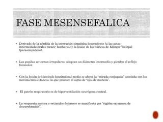  Derivado de la pérdida de la inervación simpática descendente (a las astas
intermediolaterales toraco- lumbares) y la lesión de los núcleos de Edinger Westpal
(parasimpáticos).
 Las pupilas se tornan irregulares, adoptan un diámetro intermedio y pierden el reflejo
fotomotor.
 Con la lesión del fascículo longitudinal medio se afecta la “mirada conjugada” asociada con los
movimientos cefálicos, lo que produce el signo de “ojos de muñeca”.
 El patrón respiratorio es de hiperventilación neurógena central.
 La respuesta motora a estímulos dolorosos se manifiesta por “rigidez extensora de
descerebración”.
 