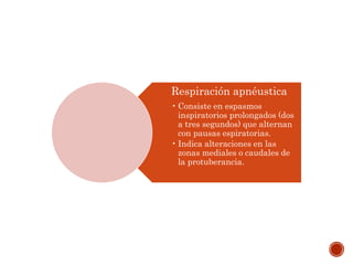 Respiración apnéustica
• Consiste en espasmos
inspiratorios prolongados (dos
a tres segundos) que alternan
con pausas espiratorias.
• Indica alteraciones en las
zonas mediales o caudales de
la protuberancia.
 