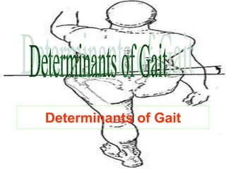 Determinants of Gait
 