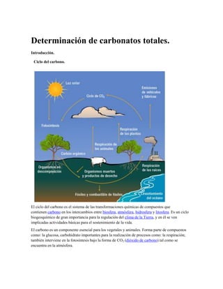 Determinación de carbonatos totales.
Introducción.

 Ciclo del carbono.




El ciclo del carbono es el sistema de las transformaciones químicas de compuestos que
contienen carbono en los intercambios entre biosfera, atmósfera, hidrosfera y litosfera. Es un ciclo
biogeoquímico de gran importancia para la regulación del clima de la Tierra, y en él se ven
implicadas actividades básicas para el sostenimiento de la vida.
El carbono es un componente esencial para los vegetales y animales. Forma parte de compuestos
como: la glucosa, carbohidrato importantes para la realización de procesos como: la respiración;
también interviene en la fotosíntesis bajo la forma de CO2 (dióxido de carbono) tal como se
encuentra en la atmósfera.
 