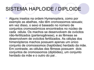 SISTEMA HAPLOIDE / DIPLOIDE


Alguns insetos na ordem Hymenoptera, como por
exemplo as abelhas, não têm cromossomos sexuais;
em vez disso, o sexo é baseado no número de
conjuntos cromossômicos encontrados no núcleo de
cada célula. Os machos se desenvolvem de ovócitos
não-fertilizados (partenogênese), e as fêmeas se
desenvolvem de ovócitos fertilizados. As células dos
himenópteros machos possuem apenas um único
conjunto de cromossomos (haplóides) herdado da mãe.
Em contraste, as células das fêmeas possuem dois
conjuntos de cromossomos (diplóides), um conjunto
herdado da mãe e o outro do pai .

 