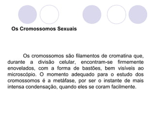 Os Cromossomos Sexuais

Os cromossomos são filamentos de cromatina que,
durante a divisão celular, encontram-se firmemente
enovelados, com a forma de bastões, bem visíveis ao
microscópio. O momento adequado para o estudo dos
cromossomos é a metáfase, por ser o instante de mais
intensa condensação, quando eles se coram facilmente.

 