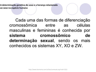 A determinação genética do sexo e a herança relacionada
ao sexo na espécie humana

Cada uma das formas de diferenciação
cromossômica
entre
as
células
masculinas e femininas é conhecida por
sistema
cromossômico
de
determinação sexual, sendo os mais
conhecidos os sistemas XY, XO e ZW.

http://www.biomania.com.br/bio/conteudo.asp?cod=1221

 