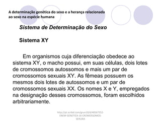 A determinação genética do sexo e a herança relacionada
ao sexo na espécie humana

Sistema de Determinação do Sexo
Sistema XY
Em organismos cuja diferenciação obedece ao
sistema XY, o macho possui, em suas células, dois lotes
de cromossomos autossomos e mais um par de
cromossomos sexuais XY. As fêmeas possuem os
mesmos dois lotes de autossomos e um par de
cromossomos sexuais XX. Os nomes X e Y, empregados
na designação desses cromossomos, foram escolhidos
arbitrariamente.
http://pt.scribd.com/grun10/d/48567352ENEM-GENETICA-16-CROMOSSOMOSSEXUAIS

 