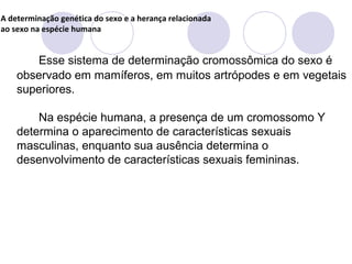A determinação genética do sexo e a herança relacionada
ao sexo na espécie humana

Esse sistema de determinação cromossômica do sexo é
observado em mamíferos, em muitos artrópodes e em vegetais
superiores.
Na espécie humana, a presença de um cromossomo Y
determina o aparecimento de características sexuais
masculinas, enquanto sua ausência determina o
desenvolvimento de características sexuais femininas.

 