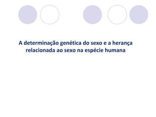 A determinação genética do sexo e a herança
relacionada ao sexo na espécie humana

 
