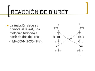 REACCIÓN DE BIURET
 La reacción debe su
nombre al Biuret, una
molécula formada a
partir de dos de urea
(H2N-CO-NH-CO-NH2).
 