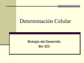 Determinación Celular
Biología del Desarrollo
Bio 323
 