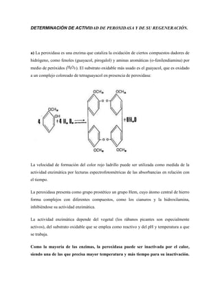 DETERMINACIÓN DE ACTIVIDAD DE PEROXIDASA Y DE SU REGENERACIÓN.

a) La peroxidasa es una enzima que cataliza la oxidación de ciertos compuestos dadores de
hidrógeno, como fenoles (guayacol, pirogalol) y aminas aromáticas (o-fenilendiamina) por
medio de peróxidos (

). El substrato oxidable más usado es el guayacol, que es oxidado

a un complejo coloreado de tetraguayacol en presencia de peroxidasa:

La velocidad de formación del color rojo ladrillo puede ser utilizada como medida de la
actividad enzimática por lecturas espectrofotométricas de las absorbancias en relación con
el tiempo.
La peroxidasa presenta como grupo prostético un grupo Hem, cuyo átomo central de hierro
forma complejos con diferentes compuestos, como los cianuros y la hidroxilamina,
inhibiéndose su actividad enzimática.
La actividad enzimática depende del vegetal (los rábanos picantes son especialmente
activos), del substrato oxidable que se emplea como reactivo y del pH y temperatura a que
se trabaja.
Como la mayoría de las enzimas, la peroxidasa puede ser inactivada por el calor,
siendo una de las que precisa mayor temperatura y más tiempo para su inactivación.

 