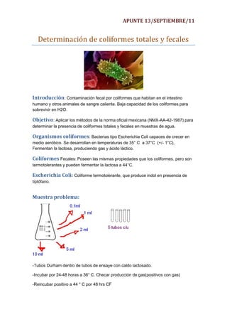 APUNTE 13/SEPTIEMBRE/11


   Determinación de coliformes totales y fecales




Introducción: Contaminación fecal por coliformes que habitan en el intestino
humano y otros animales de sangre caliente. Baja capacidad de los coliformes para
sobrevivir en H2O.

Objetivo: Aplicar los métodos de la norma oficial mexicana (NMX-AA-42-1987) para
determinar la presencia de coliformes totales y fecales en muestras de agua.

Organismos coliformes: Bacterias tipo Escherichia Coli capaces de crecer en
medio aeróbico. Se desarrollan en temperaturas de 35° C a 37°C (+/- 1°C),
Fermentan la lactosa, produciendo gas y ácido láctico.

Coliformes Fecales: Poseen las mismas propiedades que los coliformes, pero son
termotolerantes y pueden fermentar la lactosa a 44°C.

Escherichia Coli: Coliforme termotolerante, que produce indol en presencia de
tiptófano.


Muestra problema:




-Tubos Durham dentro de tubos de ensaye con caldo lactosado.

-Incubar por 24-48 horas a 36° C. Checar producción de gas(positivos con gas)

-Reincubar positivo a 44 ° C por 48 hrs CF
 