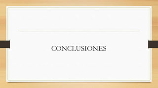 CONCLUSIONES 
 