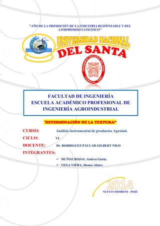 "AÑO DE LA PROMOCIÓN DE LA INDUSTRIA RESPONSABLE Y DEL
COMPROMISO CLIMÁTICO"
“DETERMINACIÓN DE LA TEXTURA”
CURSO: Análisis instrumental de productos Agroind.
CICLO: VI
DOCENTE: Dr. RODRIGUEZ PAUCAR GILBERT NILO
INTEGRANTES:
 MUÑOZ ROJAS, Andrea Gisela.
 VEGA VIERA, Jhonas Abner.
FACULTAD DE INGENIERÍA
ESCUELA ACADÉMICO PROFESIONAL DE
INGENIERÍA AGROINDUSTRIAL
NUEVO CHIMBOTE - PERÚ
 