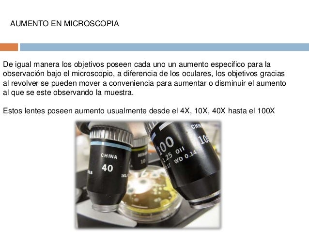 Determinación del aumento en microscopia