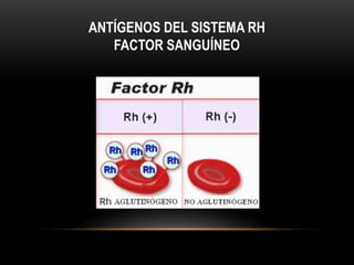Determinación deL grupo sanguíneo y factor Rh (1).pptx