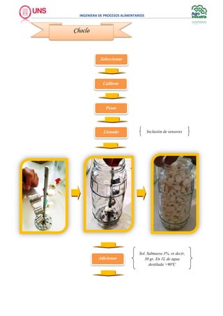INGENIERA DE PROCESOS ALIMENTARIOS
Seleccionar
Calibrar
Pesar
Choclo
Inclusión de sensoresLlenado
Adicionar
Sol. Salmuera 3%, es decir,
30 gr. En 1L de agua
destilada >90ºC
 