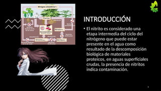 INTRODUCCIÓN
• El nitrito es considerado una
etapa intermedia del ciclo del
nitrógeno que puede estar
presente en el agua como
resultado de la descomposición
biológica de materiales
proteicos, en aguas superficiales
crudas, la presencia de nitritos
indica contaminación.
4
 