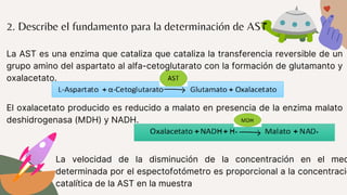 El oxalacetato producido es reducido a malato en presencia de la enzima malato
deshidrogenasa (MDH) y NADH.
La AST es una enzima que cataliza que cataliza la transferencia reversible de un
grupo amino del aspartato al alfa-cetoglutarato con la formación de glutamanto y
oxalacetato.
La velocidad de la disminución de la concentración en el med
determinada por el espectofotómetro es proporcional a la concentració
catalítica de la AST en la muestra
2. Describe el fundamento para la determinación de AST
 