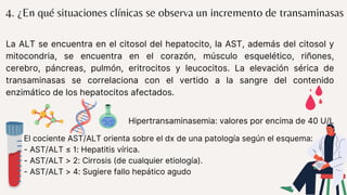 4. ¿En qué situaciones clínicas se observa un incremento de transaminasas
La ALT se encuentra en el citosol del hepatocito, la AST, además del citosol y
mitocondria, se encuentra en el corazón, músculo esquelético, riñones,
cerebro, páncreas, pulmón, eritrocitos y leucocitos. La elevación sérica de
transaminasas se correlaciona con el vertido a la sangre del contenido
enzimático de los hepatocitos afectados.
El cociente AST/ALT orienta sobre el dx de una patología según el esquema:
- AST/ALT ≤ 1: Hepatitis vírica.
- AST/ALT > 2: Cirrosis (de cualquier etiología).
- AST/ALT > 4: Sugiere fallo hepático agudo
Hipertransaminasemia: valores por encima de 40 U/L
 