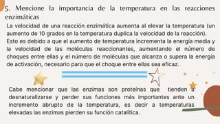 La velocidad de una reacción enzimática aumenta al elevar la temperatura (un
aumento de 10 grados en la temperatura duplica la velocidad de la reacción).
Esto es debido a que el aumento de temperatura incrementa la energía media y
la velocidad de las moléculas reaccionantes, aumentando el número de
choques entre ellas y el número de moléculas que alcanza o supera la energía
de activación, necesario para que el choque entre ellas sea eficaz.
Cabe mencionar que las enzimas son proteínas que tienden a
desnaturalizarse y perder sus funciones más importantes ante un
incremento abrupto de la temperatura, es decir a temperaturas
elevadas las enzimas pierden su función catalítica.
5. Mencione la importancia de la temperatura en las reacciones
enzimáticas
 