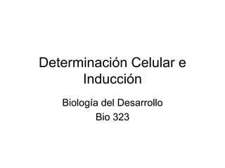 Determinación Celular e
Inducción
Biología del Desarrollo
Bio 323
 