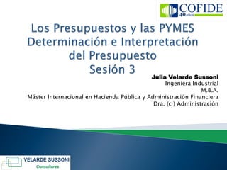 Julia Velarde Sussoni
                                                 Ingeniera Industrial
                                                               M.B.A.
Máster Internacional en Hacienda Pública y Administración Financiera
                                             Dra. (c ) Administración
 