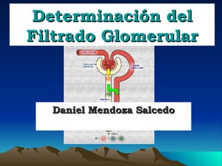 Determinación del Filtrado Glomerular Daniel Mendoza Salcedo 