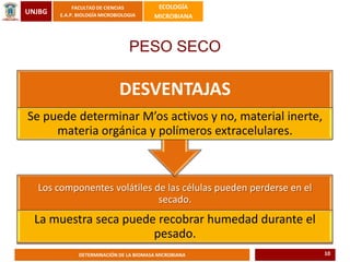 UNJBG
FACULTAD DE CIENCIAS
E.A.P. BIOLOGÍA MICROBIOLOGIA
ECOLOGÍA
MICROBIANA
DETERMINACIÓN DE LA BIOMASA MICROBIANA
PESO SECO
Los componentes volátiles de las células pueden perderse en el
secado.
La muestra seca puede recobrar humedad durante el
pesado.
DESVENTAJAS
Se puede determinar M’os activos y no, material inerte,
materia orgánica y polímeros extracelulares.
10
 