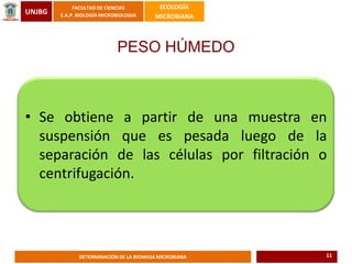 UNJBG
FACULTAD DE CIENCIAS
E.A.P. BIOLOGÍA MICROBIOLOGIA
ECOLOGÍA
MICROBIANA
DETERMINACIÓN DE LA BIOMASA MICROBIANA
• Se obtiene a partir de una muestra en
suspensión que es pesada luego de la
separación de las células por filtración o
centrifugación.
PESO HÚMEDO
11
 