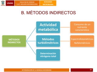 UNJBG
FACULTAD DE CIENCIAS
E.A.P. BIOLOGÍA MICROBIOLOGIA
ECOLOGÍA
MICROBIANA
DETERMINACIÓN DE LA BIOMASA MICROBIANA
MÉTODOS
INDIRECTOS
Actividad
metabólica
Consumo de un
nutriente
característico
Métodos
turbidimétricos
Espectrofotométricos
Nefelométricos
Determinación
nitrógeno total
B. MÉTODOS INDIRECTOS
13
 