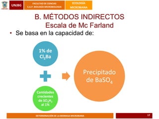 UNJBG
FACULTAD DE CIENCIAS
E.A.P. BIOLOGÍA MICROBIOLOGIA
ECOLOGÍA
MICROBIANA
DETERMINACIÓN DE LA BIOMASA MICROBIANA
• Se basa en la capacidad de:
1% de
Cl2Ba
Cantidades
crecientes
de SO4H2
al 1%
Precipitado
de BaSO4
B. MÉTODOS INDIRECTOS
Escala de Mc Farland
17
 