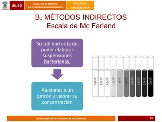 UNJBG
FACULTAD DE CIENCIAS
E.A.P. BIOLOGÍA MICROBIOLOGIA
ECOLOGÍA
MICROBIANA
DETERMINACIÓN DE LA BIOMASA MICROBIANA
Su utilidad es la de
poder elaborar
suspensiones
bacterianas,
Ajustadas a un
patrón y valorar su
concentración
B. MÉTODOS INDIRECTOS
Escala de Mc Farland
18
 